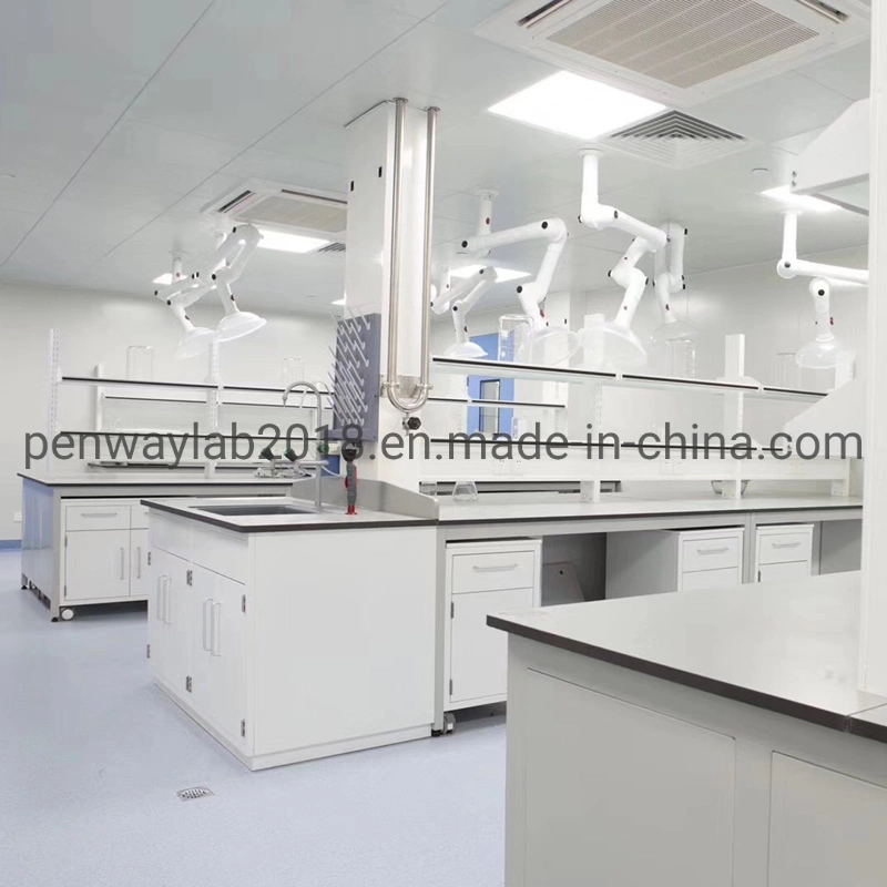Steel Cabinet Science Lab Furniture Lab Table/ Phenolic Top (2500L*750Wmm) Black &amp; Offwhite