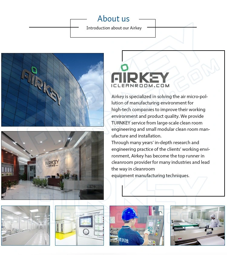Airkey ISO5 Low Power Consumption Laminar Flow Hood Aseptic Equipment Sterile Equipment for Pharmaceutical Cleanroom