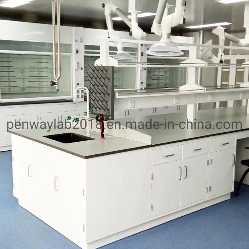 Steel Cabinet Science Lab Furniture Lab Table/ Phenolic Top (2500L*750Wmm) Black &amp; Offwhite