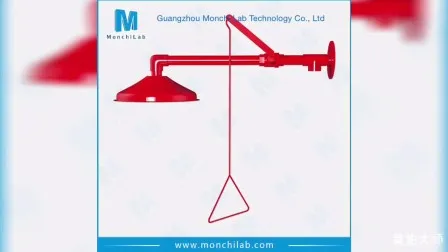 Lab Accessories Combination Emergency Eye Wash Shower 