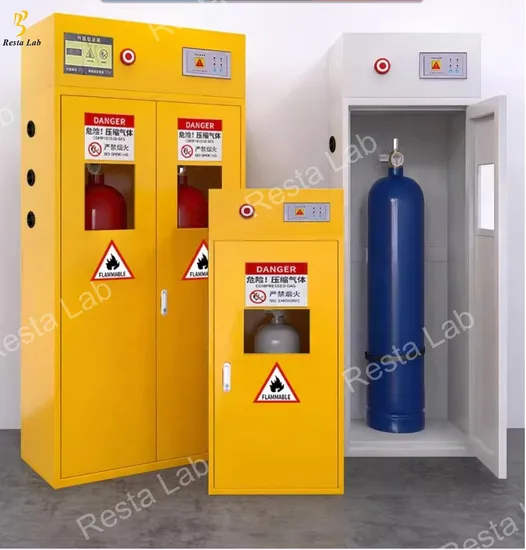 Laboratory Steel Gas Cylinder Cabinet with Vent Furniture 