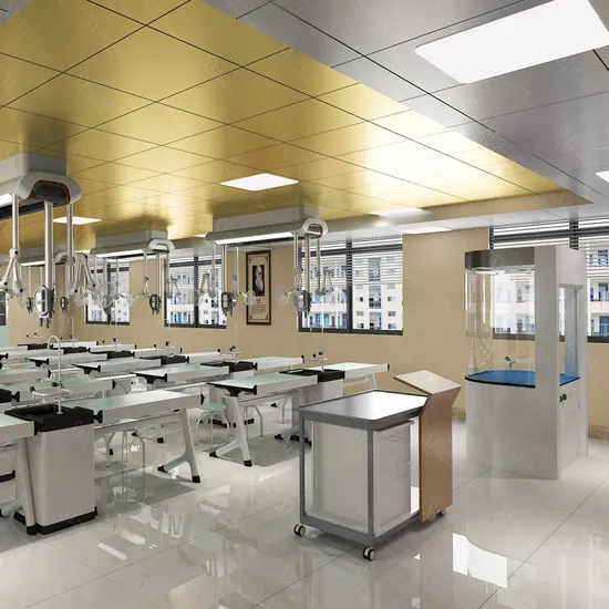 Met Customizable Laboratory Desk Solutions: Tailored Workstations for Every Need 