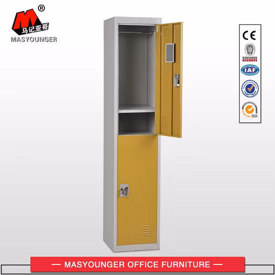 Classic Cold Rolled Steel 2 Door Storage Clothes Wardrobe Iron Almirah Cabinet Separate Metal Locker
