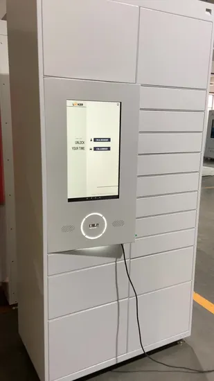 Tool Storage Locker for Laboratory with Camera 