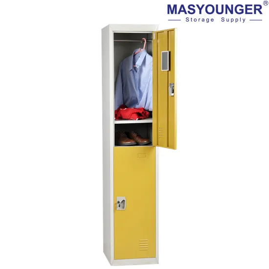 Cheap Cold Rolled Steel 2 Door Storage Wardrobe Metal Locker 
