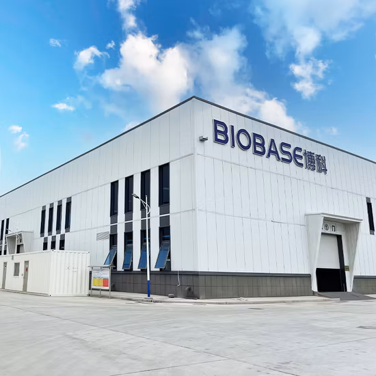 Biobase China Factory Laboratory Xw006 Accessories Equipmentsfor Vortex Mixer