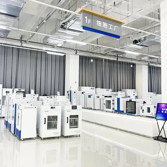 Biobase 88litres 250c Dry Heat Sterilizer Forced Convection Benchtop Hot Air Sterilizer for Lab 