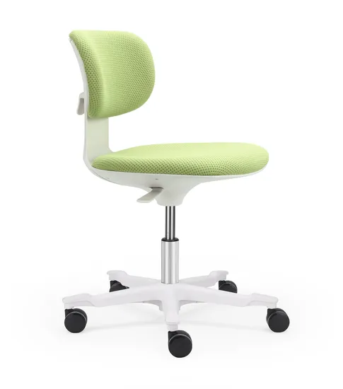 Ergonomic Multifunctional Office Chair for Lab and Leisure 