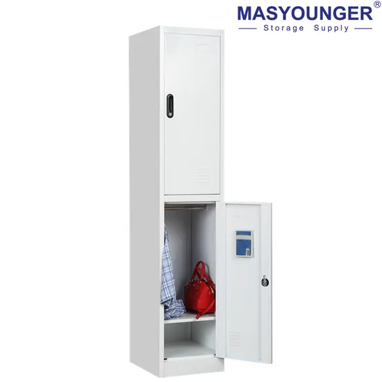 Cold Rolled Steel Storage Cabinet Wardrobe Iron Separate Line 2 Door Locker 