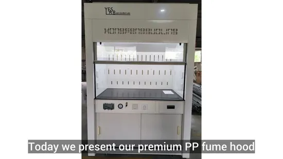 PP HEPA Filter Modular Design ISO Certified Polypropylene Radioactive Lab Energy Saving Easy Clean Laboratory Fume Hood 